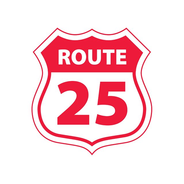 Logo route25